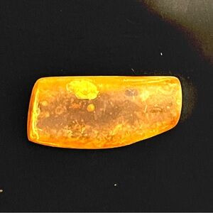 Stunning Genuine Amber Freeform Piece
